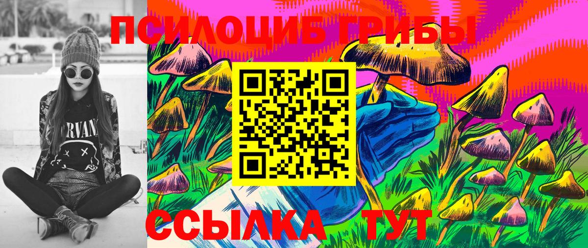 Галлюциногенные грибы MAGIC MUSHROOMS Каменка