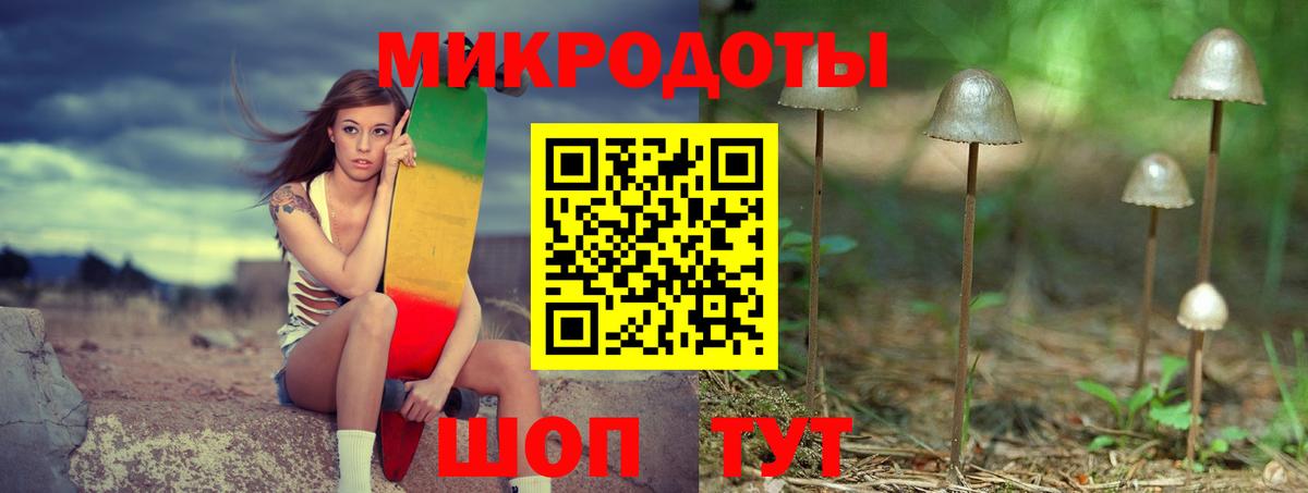 Каменка  Псилоцибиновые грибы Magic Shrooms  Вход с VPN 